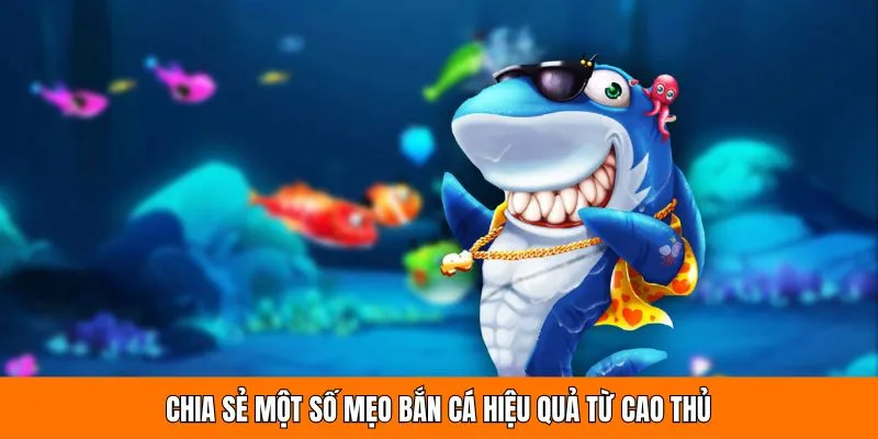 Chia sẻ một số mẹo bắn cá hiệu quả từ cao thủ 