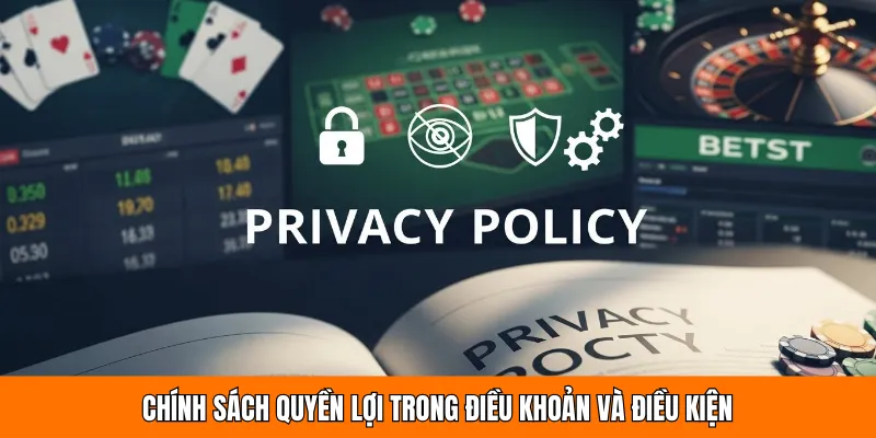 Quy định quyền lợi áp dụng cho thành viên hệ thống 