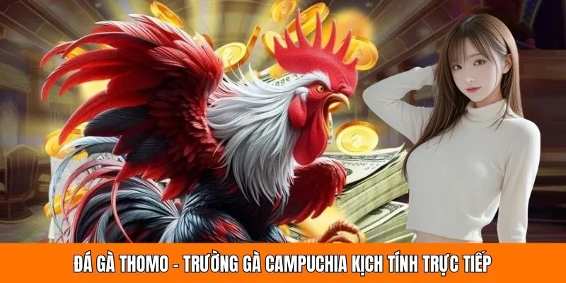 Đá gà thomo