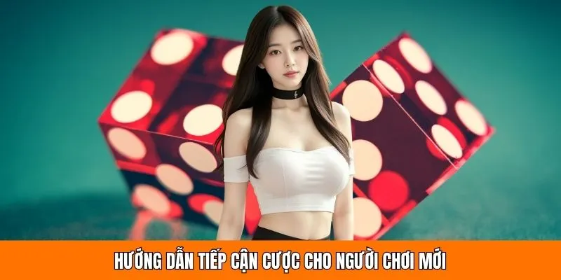 Hướng dẫn tiếp cận cược cho người chơi mới
