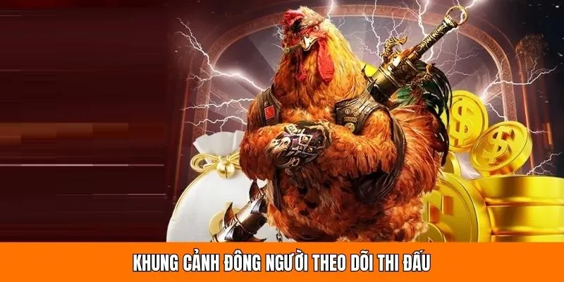 Khung cảnh đông người theo dõi thi đấu