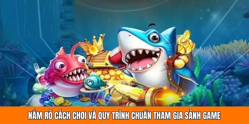 Nắm rõ cách chơi và quy trình chuẩn tham gia sảnh game